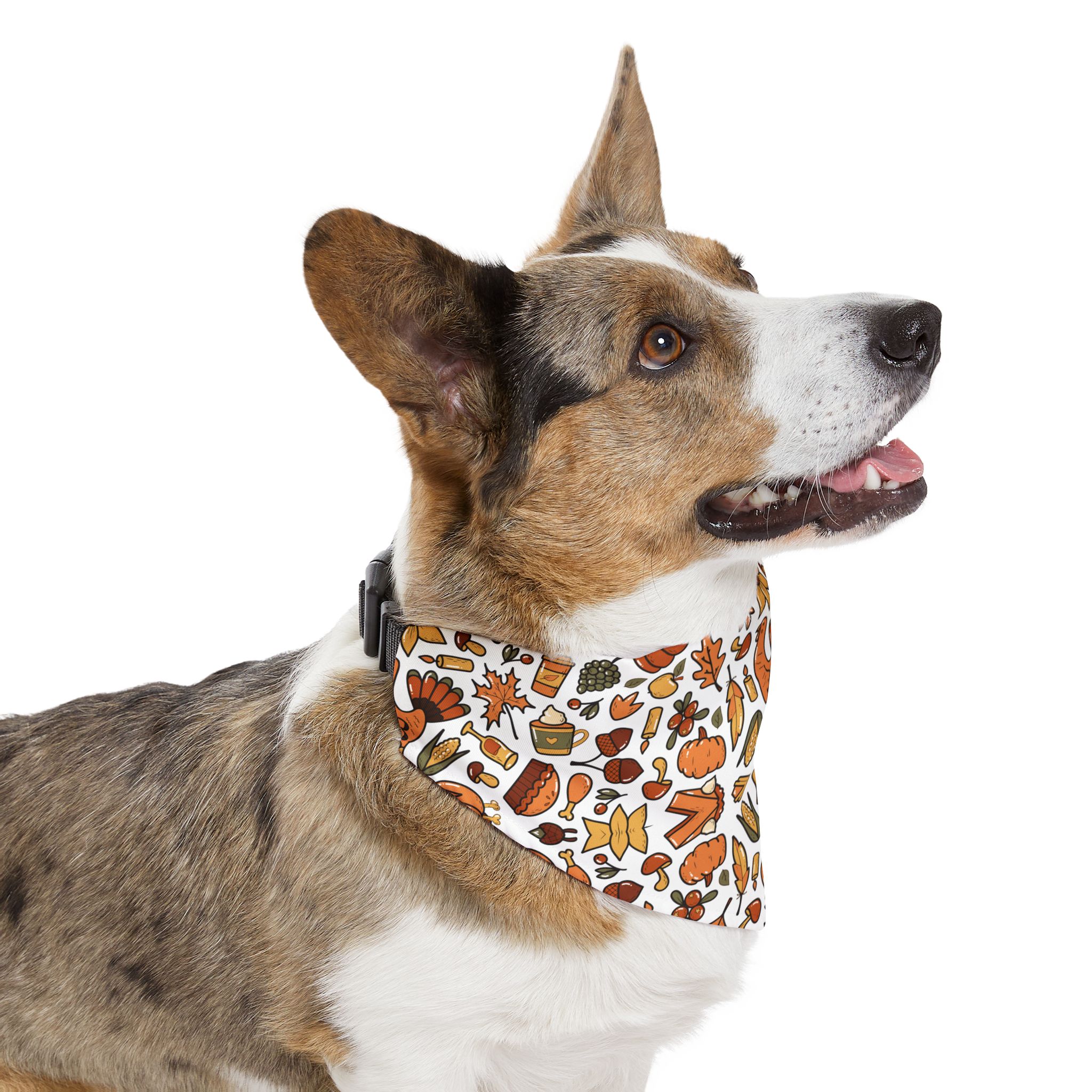 "Thanksgiving" Adjustable Pet Bandana - Image 11