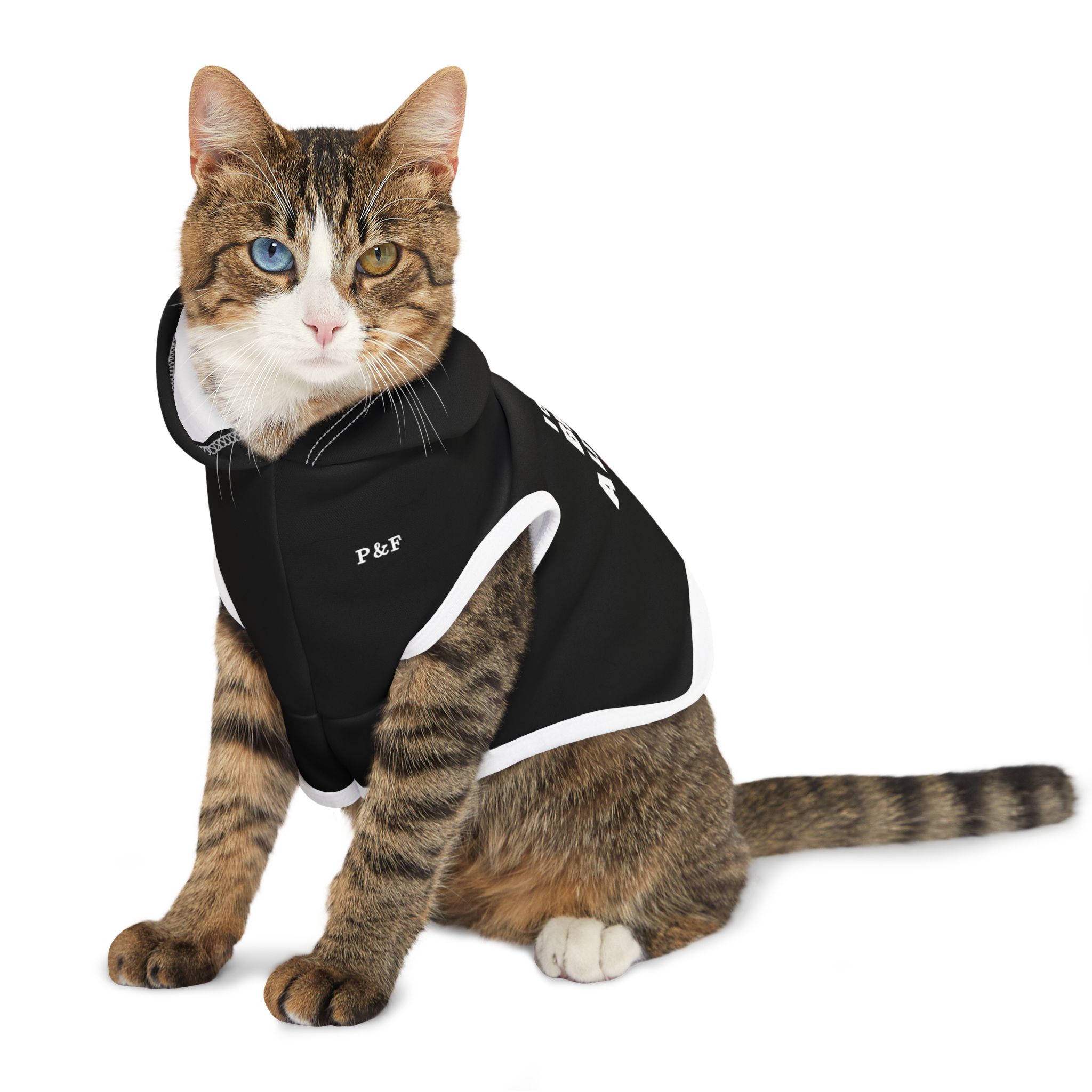 "I Only Bite a Little” Pet Hoodie – Funny Dog & Cat Apparel for Playful, Mischievous Pets - Image 5