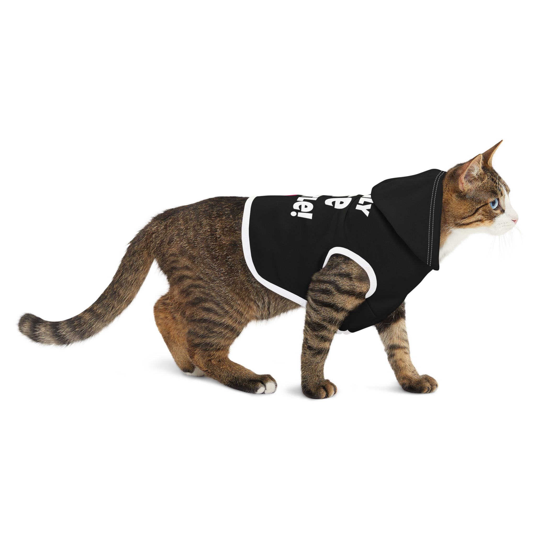 "I Only Bite a Little” Pet Hoodie – Funny Dog & Cat Apparel for Playful, Mischievous Pets - Image 6