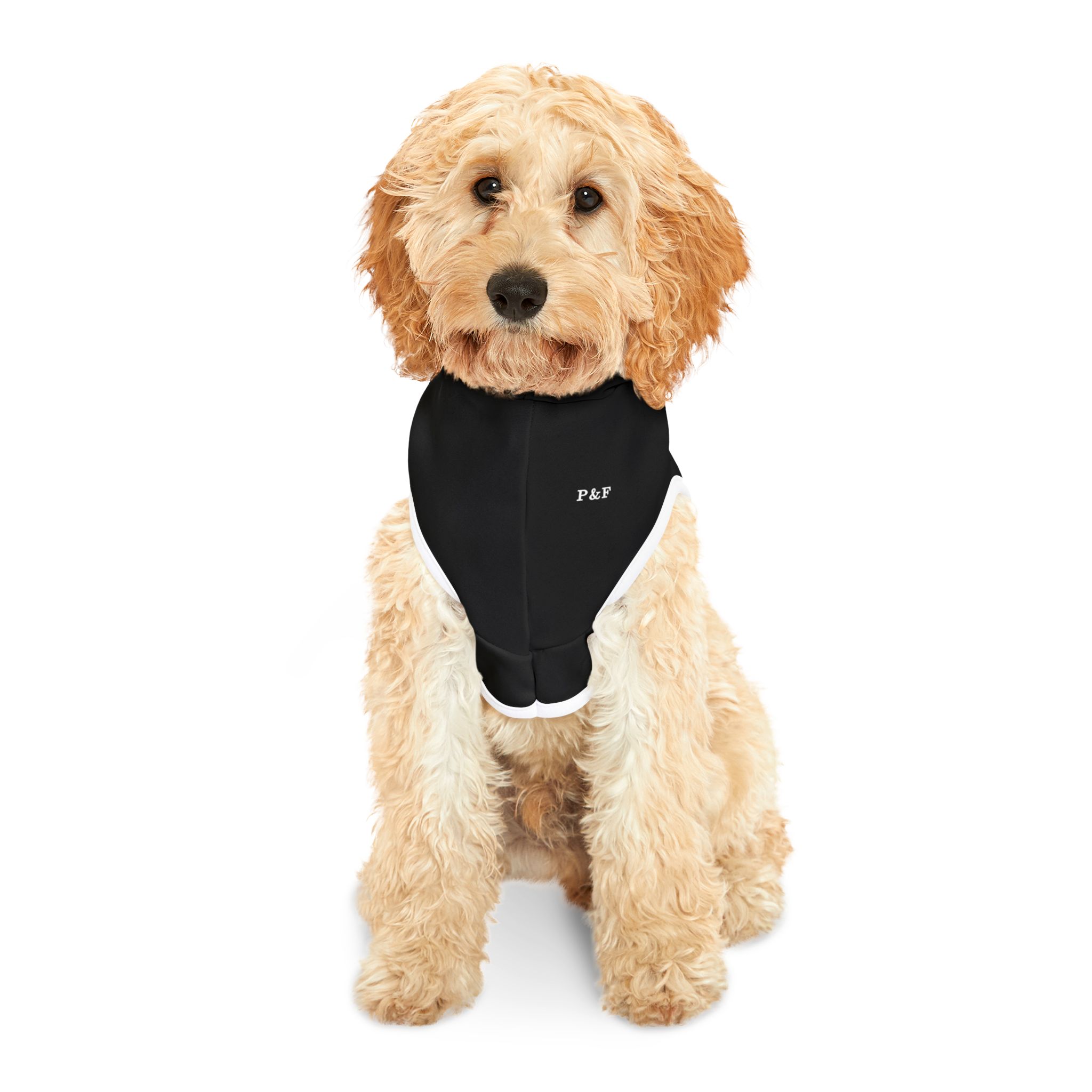 "I Only Bite a Little” Pet Hoodie – Funny Dog & Cat Apparel for Playful, Mischievous Pets - Image 3